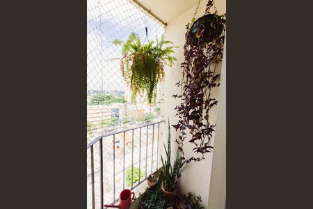 Varanda de apartamento para alugar com 2 quartos, 53m² em Vila Leopoldina, São Paulo