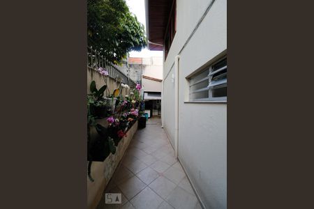 Casa à venda com 365m², 4 quartos e 5 vagas Casa à venda com 365m², 4 quartos e 5 vagasQuintal