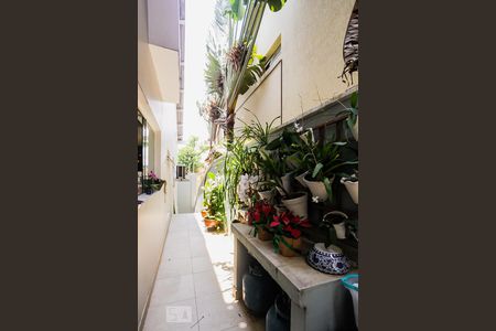 Casa à venda com 190m², 2 quartos e 2 vagas Casa à venda com 190m², 2 quartos e 2 vagasCorredor lateral