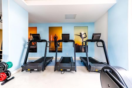 Área Comum - Academia de apartamento para alugar com 3 quartos, 82m² em Vila Maria, São Paulo