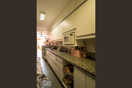 Casa à venda com 150m², 3 quartos e 4 vagasCozinha - Armários