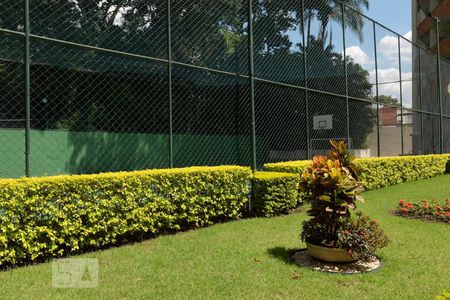 Apartamento para alugar com 110m², 3 quartos e 2 vagasQuadra Esportiva