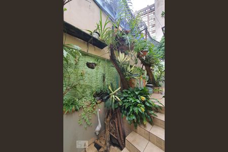 Casa à venda com 240m², 3 quartos e 2 vagasQuintal