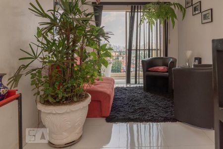 Sala de apartamento para alugar com 2 quartos, 72m² em Vila Monte Alegre, São Paulo