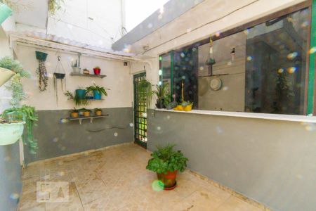Casa para alugar com 275m², 4 quartos e 2 vagasQuintal