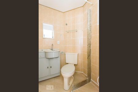 Banheiro de apartamento à venda com 2 quartos, 47m² em Jardim São Vicente, Campinas