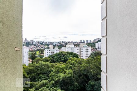 Vista da Varanda  de apartamento para alugar com 2 quartos, 55m² em Castelo, Belo Horizonte