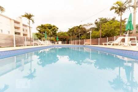 Área comum - Piscina de apartamento à venda com 3 quartos, 75m² em Loteamento Center Santa Genebra, Campinas