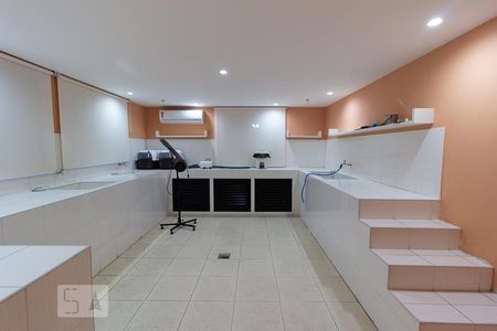 Apartamento para alugar com 52m², 2 quartos e 1 vagaPet Care