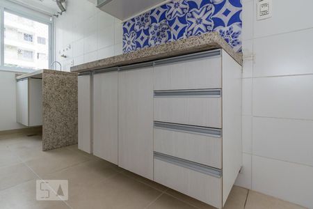Apartamento para alugar com 50m², 2 quartos e 1 vagaCozinha - Armários
