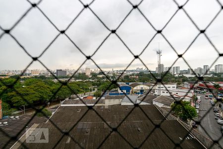 Apartamento para alugar com 62m², 3 quartos e 1 vaga Apartamento para alugar com 62m², 3 quartos e 1 vagaVista do Quarto 1