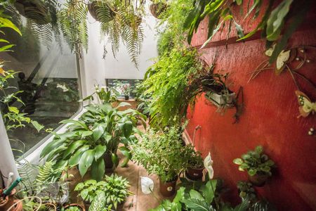 Jardim de inverno de casa à venda com 3 quartos, 400m² em Jabaquara, São Paulo