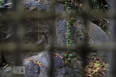 Apartamento à venda com 160m², 3 quartos e 1 vagaQuarto 2 Janela