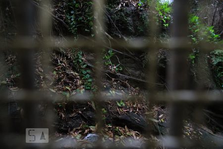 Apartamento à venda com 160m², 3 quartos e 1 vagaQuarto 3 Janela