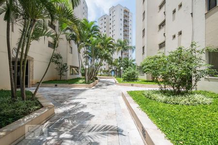 Apartamento para alugar com 70m², 2 quartos e 1 vaga Apartamento para alugar com 70m², 2 quartos e 1 vagaÁrea Comum