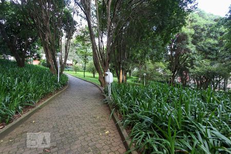 Apartamento para alugar com 165m², 3 quartos e 2 vagas Apartamento para alugar com 165m², 3 quartos e 2 vagasBosque privativo