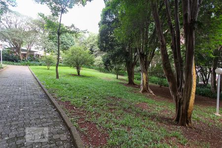 Apartamento para alugar com 165m², 3 quartos e 2 vagas Apartamento para alugar com 165m², 3 quartos e 2 vagasBosque privativo