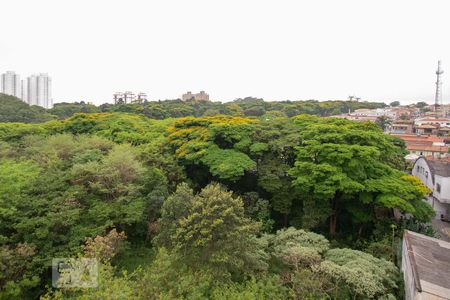 Vista de apartamento para alugar com 3 quartos, 81m² em Vila Isa, São Paulo