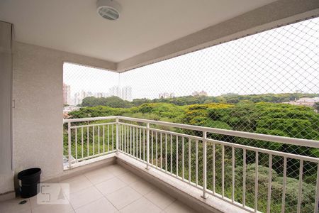 Varanda da Sala de apartamento para alugar com 3 quartos, 81m² em Vila Isa, São Paulo