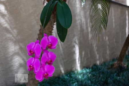 Apartamento à venda com 70m², 2 quartos e 1 vagaJardim