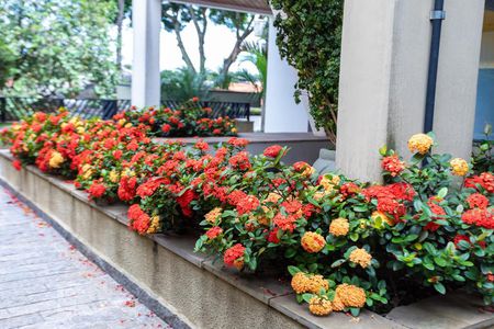 Apartamento à venda com 70m², 2 quartos e 1 vagaJardim