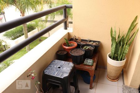 Varanda da Sala de apartamento para alugar com 2 quartos, 60m² em Vila Moinho Velho, São Paulo