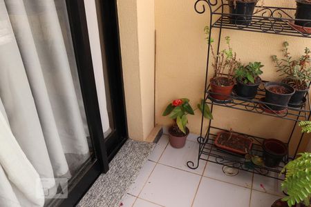 Varanda da Sala de apartamento para alugar com 2 quartos, 60m² em Vila Moinho Velho, São Paulo