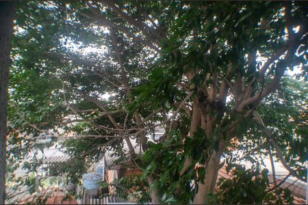 Apartamento à venda com 40m², 2 quartos e sem vagaVista do quarto 1