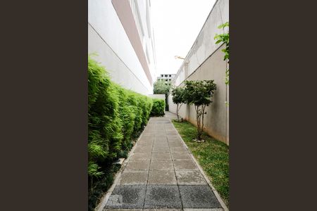 Apartamento para alugar com 50m², 2 quartos e 1 vagaÁrea comum