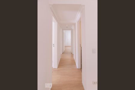 Corredor de apartamento para alugar com 3 quartos, 80m² em Moema, São Paulo