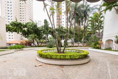 Apartamento para alugar com 80m², 3 quartos e 1 vaga Apartamento para alugar com 80m², 3 quartos e 1 vagaÁrea comum