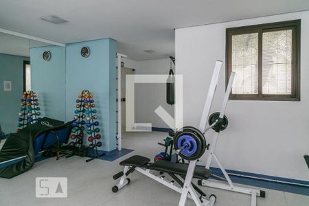 Apartamento à venda com 281m², 3 quartos e 3 vagas Apartamento à venda com 281m², 3 quartos e 3 vagasÁrea comum - Academia