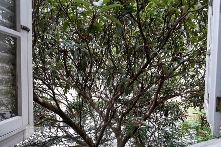 Apartamento à venda com 180m², 4 quartos e 1 vagaVista do Quarto 3