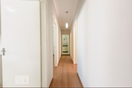 Corredor de apartamento para alugar com 3 quartos, 70m² em Jardim Proença, Campinas