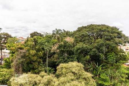 Vista do quarto 1 de apartamento para alugar com 2 quartos, 48m² em Paquetá, Belo Horizonte