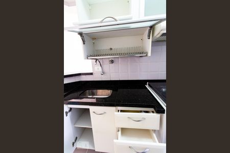 Apartamento para alugar com 61m², 2 quartos e 1 vagaCozinha - Armários