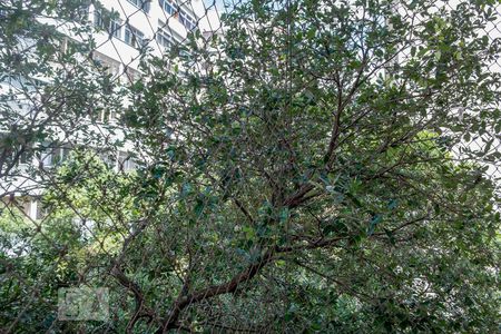 Apartamento à venda com 60m², 2 quartos e 1 vagaVista da Varanda