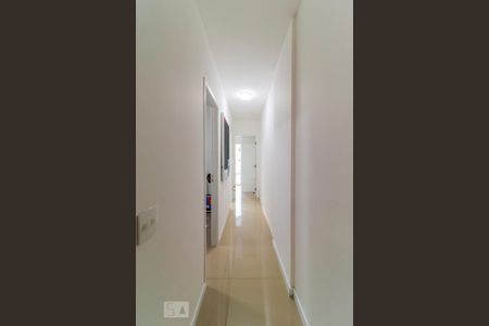 Corredor de apartamento para alugar com 2 quartos, 56m² em Santa Cecilia, São Paulo