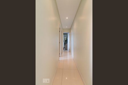 Corredor de apartamento à venda com 2 quartos, 53m² em Vila Moreira, São Paulo