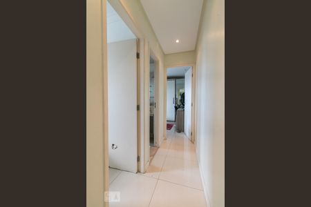 Corredor de apartamento para alugar com 2 quartos, 53m² em Vila Moreira, São Paulo