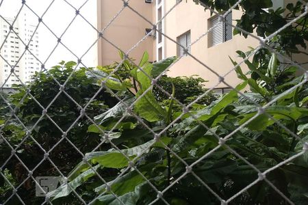 Vista Quarto 1 de apartamento à venda com 3 quartos, 80m² em Vila Ipojuca, São Paulo