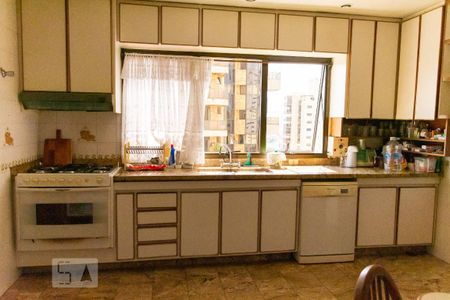 Apartamento para alugar com 300m², 6 quartos e 4 vagasCozinha - Armários