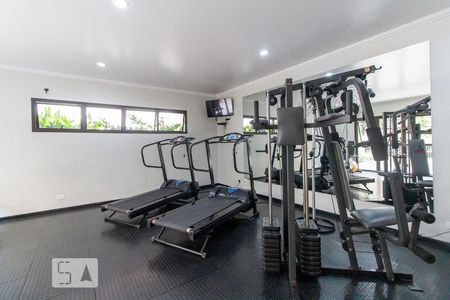 Apartamento à venda com 122m², 4 quartos e 4 vagas Apartamento à venda com 122m², 4 quartos e 4 vagasAcademia