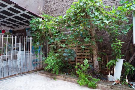 Casa para alugar com 40m², 1 quarto e sem vagaQuintal