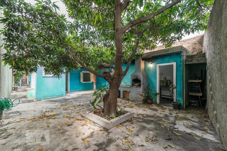 Casa para alugar com 60m², 2 quartos e 2 vagas Casa para alugar com 60m², 2 quartos e 2 vagasQuintal gourmet