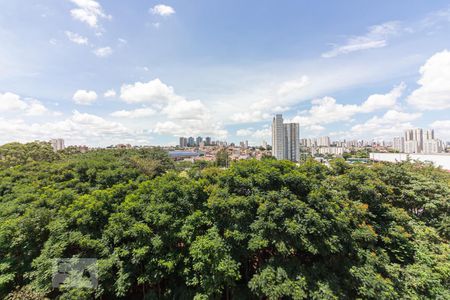 Vista da Sala de apartamento para alugar com 3 quartos, 70m² em Jardim Peri Peri, São Paulo