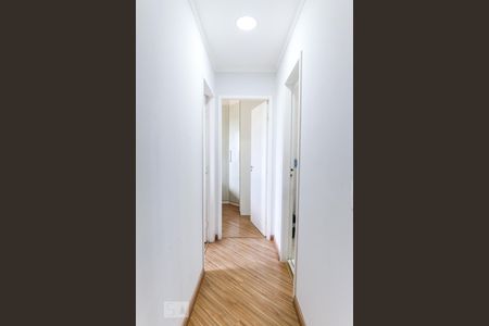 Corredor de apartamento para alugar com 2 quartos, 55m² em Jardim Augusta, São José dos Campos