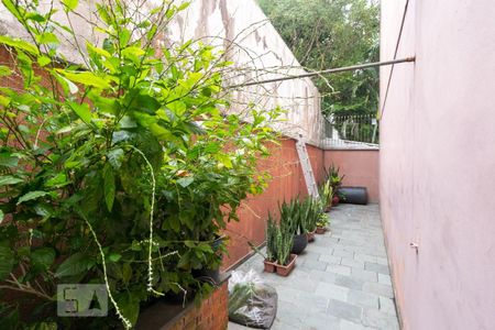 Casa à venda com 380m², 4 quartos e 5 vagasQuintal 