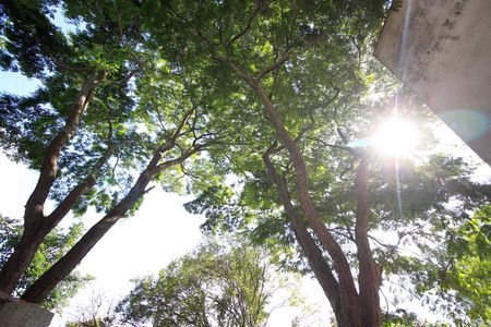 Casa à venda com 220m², 2 quartos e 2 vagasVista