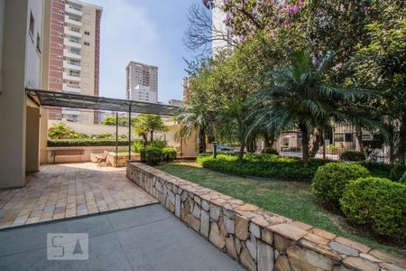 Apartamento para alugar com 50m², 1 quarto e 1 vagaÁrea Externa Comum